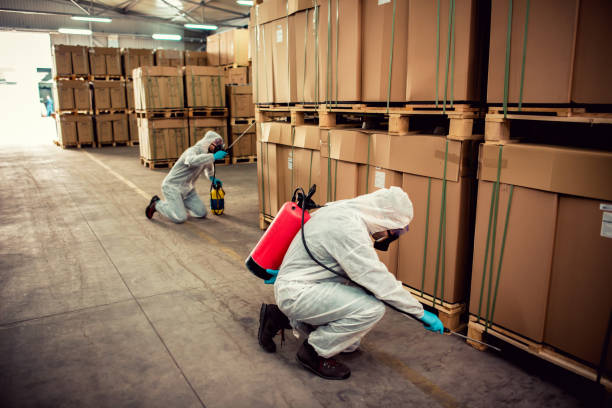 Best Pest Control for Businesses  in Chackbay, LA