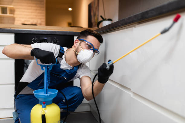 Best Wasp Removal Services  in Chackbay, LA