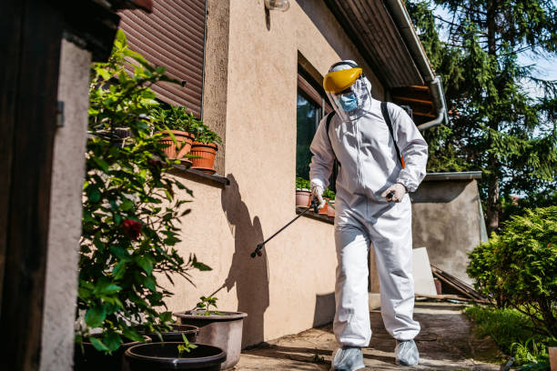 Wasp Removal Services in Chackbay, LA
