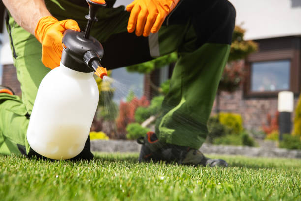 Pest Control Cost in Chackbay, LA