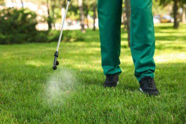 Reliable Chackbay, LA Pest Control Solutions