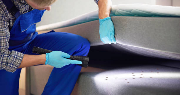 Best Local Pest Control Services  in Chackbay, LA